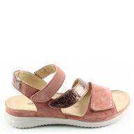 Hartjes 132.1135 breeze Rose