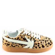 Kaotiko boston aq00501 Cognac