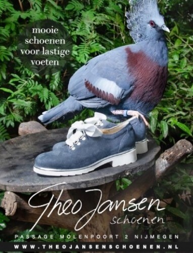 Comfort schoenen folder voorjaar 2019