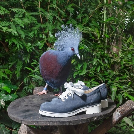 Comfort schoenen folder voorjaar 2019 