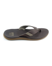 Reef Santa ana BRUIN