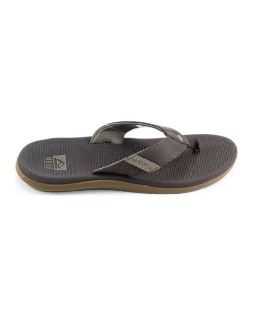 Reef Santa ana BRUIN
