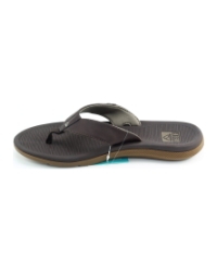 Reef Santa ana BRUIN