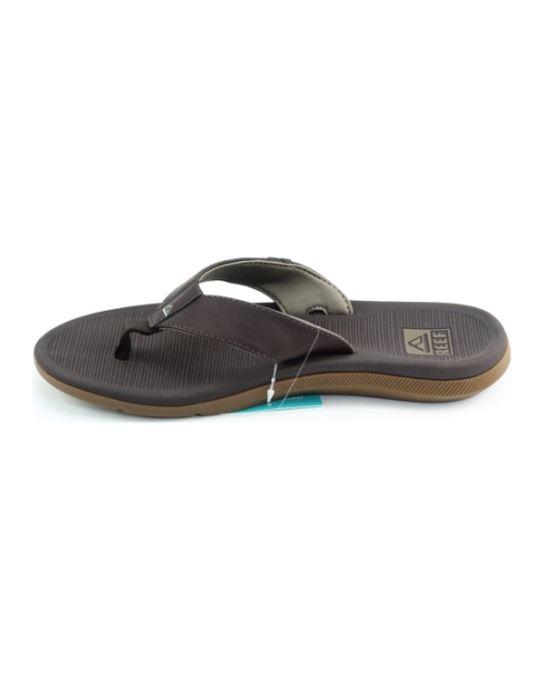 Reef Santa ana BRUIN