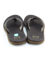 Reef Santa ana BRUIN