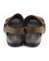 Waldlaufer 372001 BRUIN