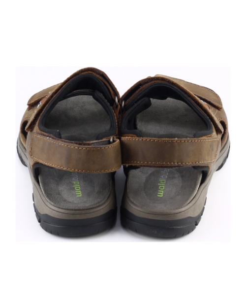 Waldlaufer 372001 BRUIN