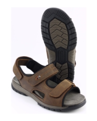 Waldlaufer 372001 BRUIN