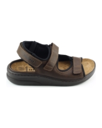 Mephisto Valden. BRUIN