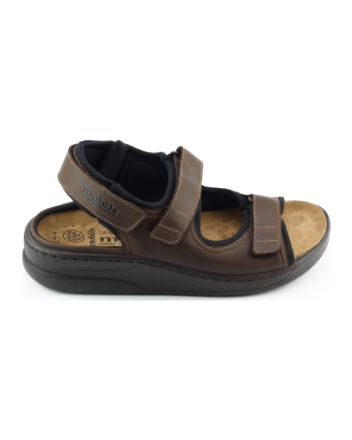 Mephisto Valden. BRUIN