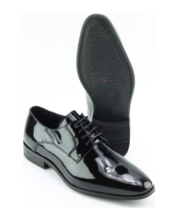 Berkelmans sameiro ZWART