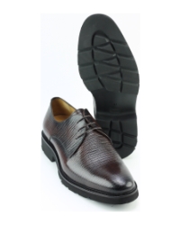 Don John dj0137 BRUIN