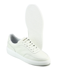 Rehab Taylor perf Wit