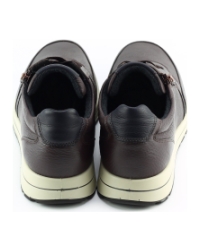 Ara 1124501-19 BRUIN