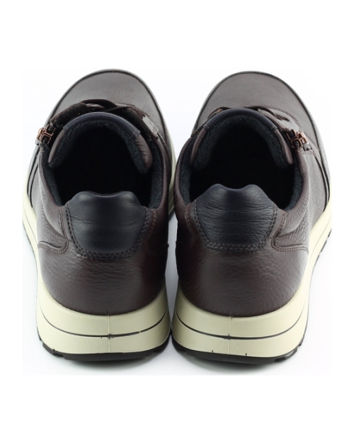 Ara 1124501-19 BRUIN