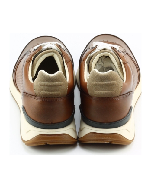 Berkelmans Hondo cognac