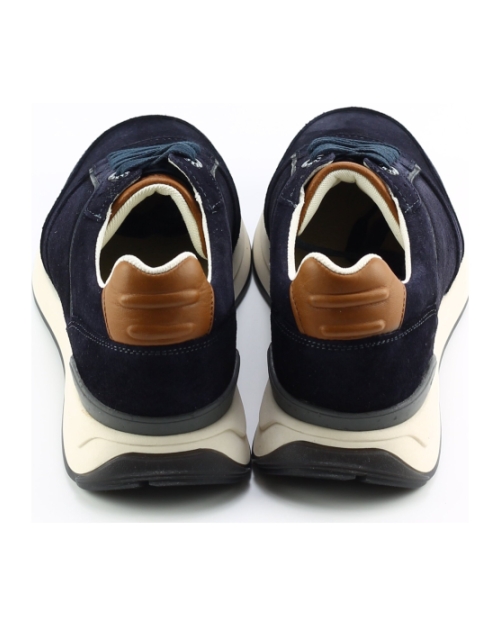 Berkelmans Hondo Donkerblauw