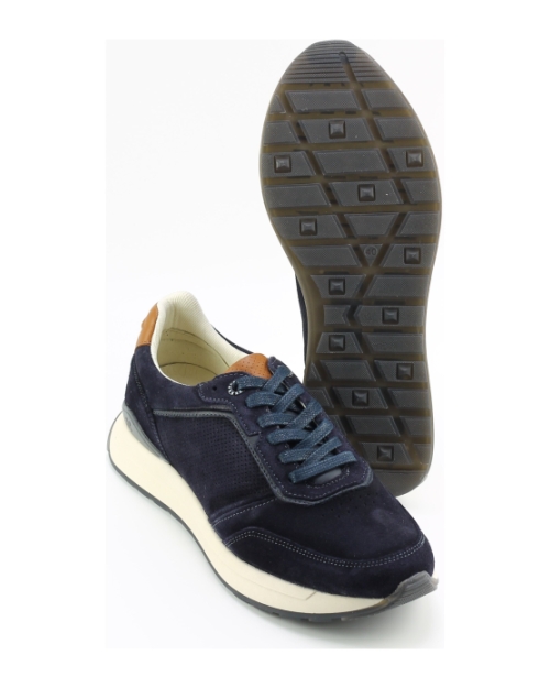 Berkelmans Hondo Donkerblauw