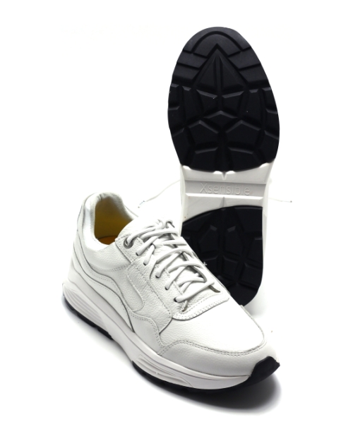 Xsensible 33200.5 Golden Gate Wit