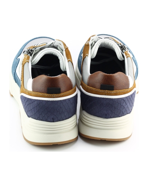 Australian connery Blauw Combinatie