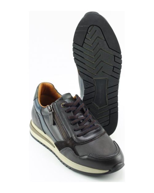 Ambitious 13719 BRUIN