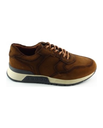 Greve 4289.88 Haarlem sneakers bruin