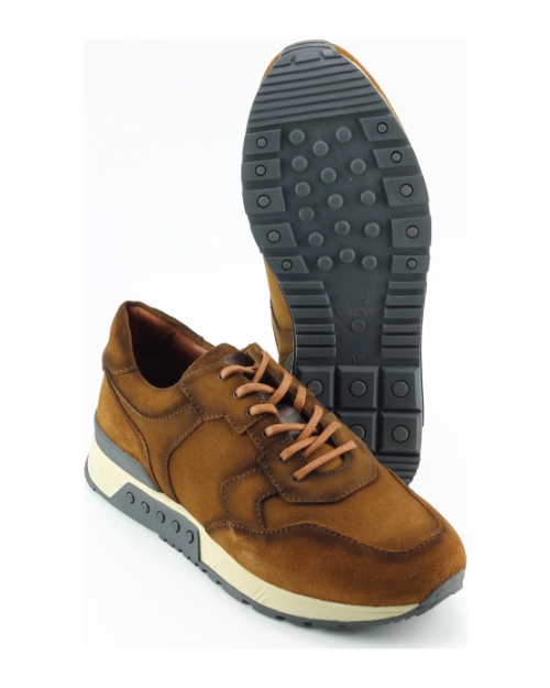 Greve 4289.88 Haarlem BRUIN