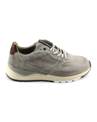 Floris van Bommel SFM-10231 Taupe