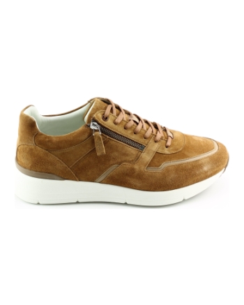 Greve 3284.12 sneakers cognac