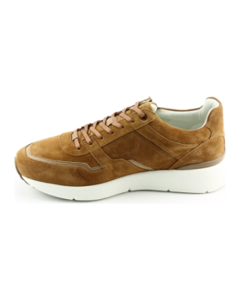 Greve 3284.12 sneakers cognac