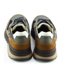 Australian sparrow Taupe