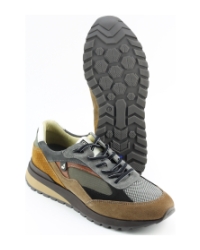 Australian sparrow Taupe