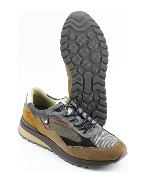 Australian sparrow Taupe