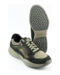 Xsensible SWX14 30088.2 BRUIN