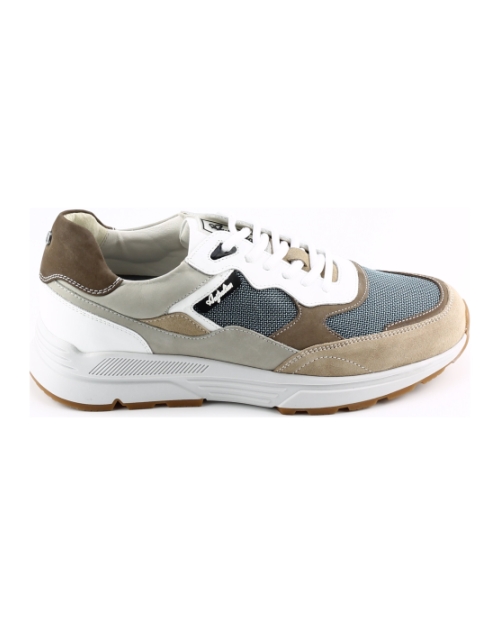 Australian hallifax 16.1713.01 BEIGE MULTI