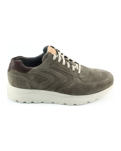 Gijs 2160 115 Taupe