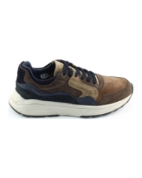 Xsensible Golden Gate Men 33200.2 Brons