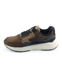 Xsensible Golden Gate Men 33200.2 Brons