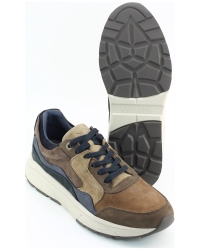 Xsensible Golden Gate Men 33200.2 Brons