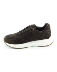Xsensible Golden Gate Men 33200.4 Donkerbruin