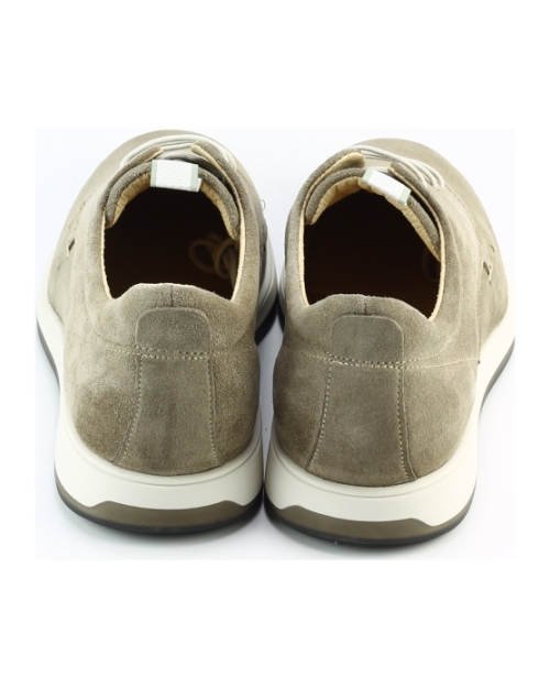 Berkelmans rockingham Taupe