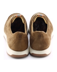 Berkelmans Lydden BRUIN