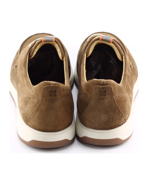 Berkelmans Lydden BRUIN