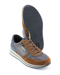 Mephisto gilford BRUIN