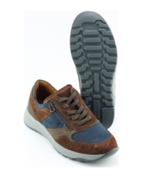 Waldlaufer 662001 BRUIN MULTI