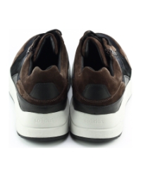 Solidus 71122 BRUIN MULTI