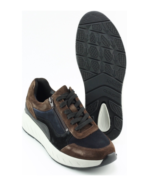 Solidus 71122 BRUIN MULTI