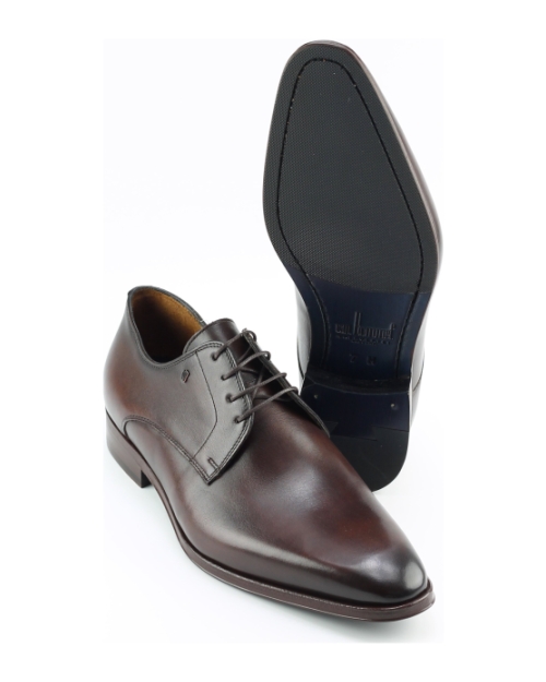 van Bommel Raffa 03.07 SBM-30118 BRUIN