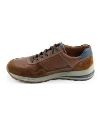 Mephisto Bradley BRUIN