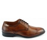 Kleur Cognac